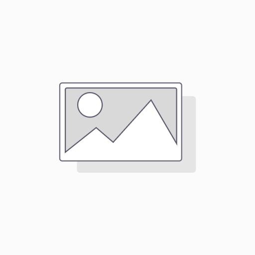 ZBs Guitar Pick Pack- Single