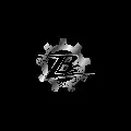 zbsrock.com
